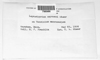 Image Associated With the Occurence